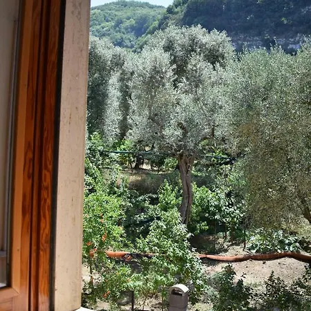 Dolce Casa * Sorrento