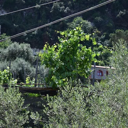 Apartman Dolce Casa *