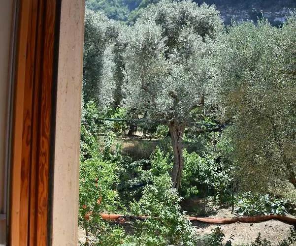 Dolce Casa * סורנטו