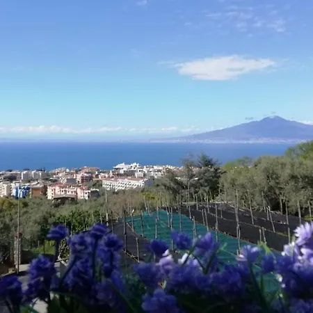 Daire Dolce Casa Sorrento
